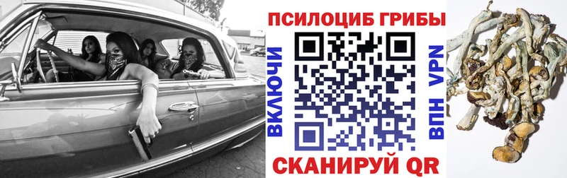 где купить наркотик  Канаш  Галлюциногенные грибы ЛСД 